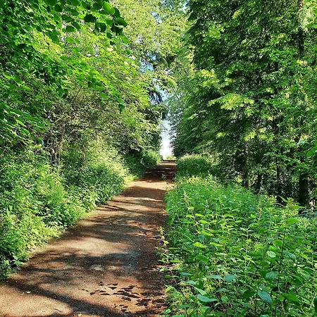 Quartier 706 Mit Pool