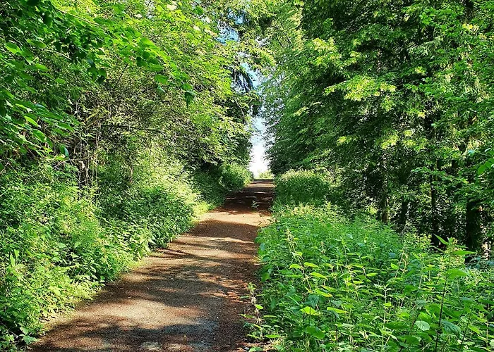 Quartier 706 Mit Pool